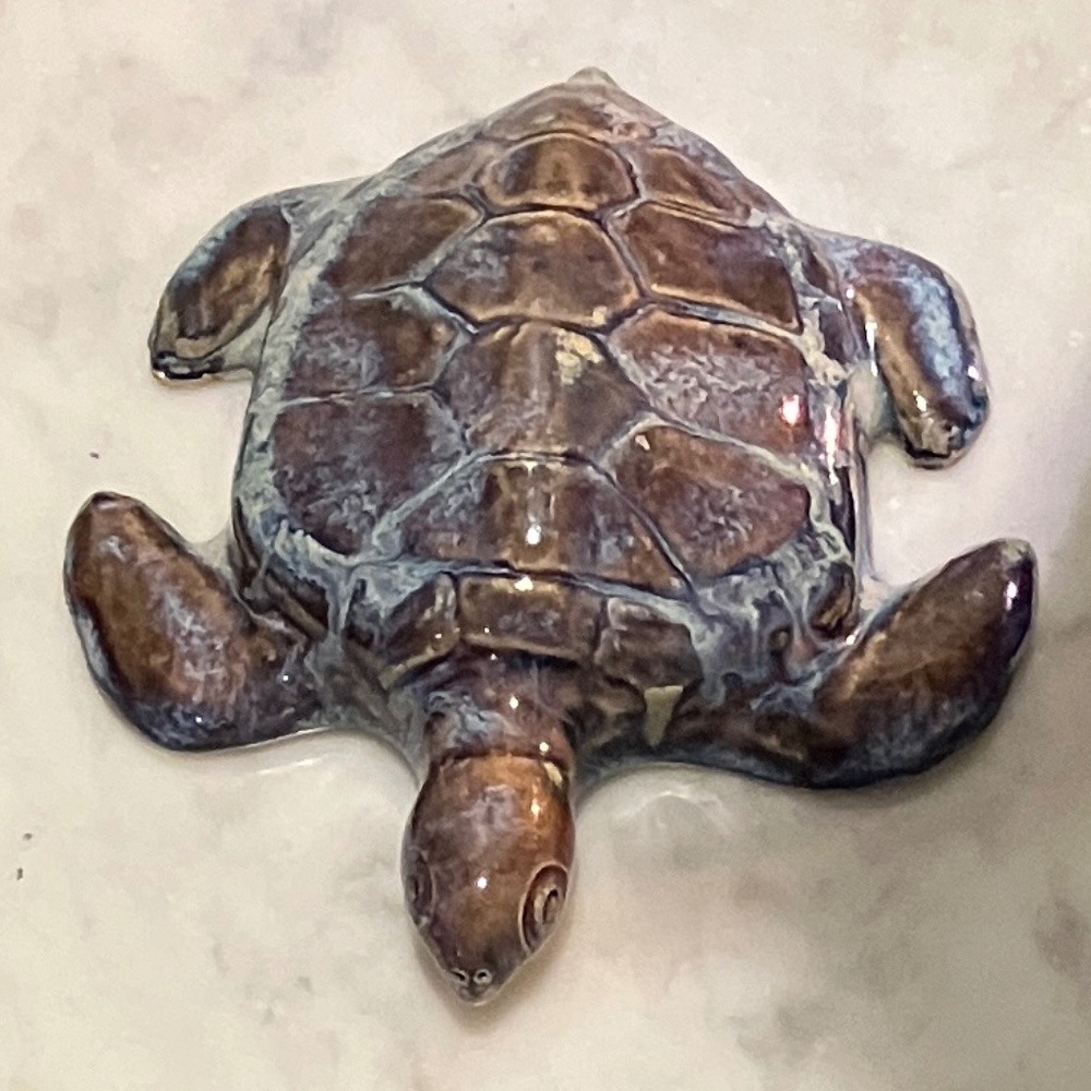 Sea Turtle - Picture 1 of 11